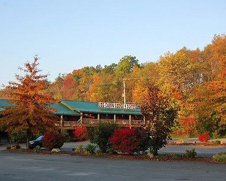 Log Cabin Lodge & Suites Jones Mills Esterno foto